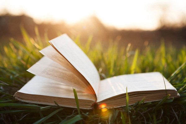 Путешествие по страницам любимых книг «Солнечные встречи с книгой»