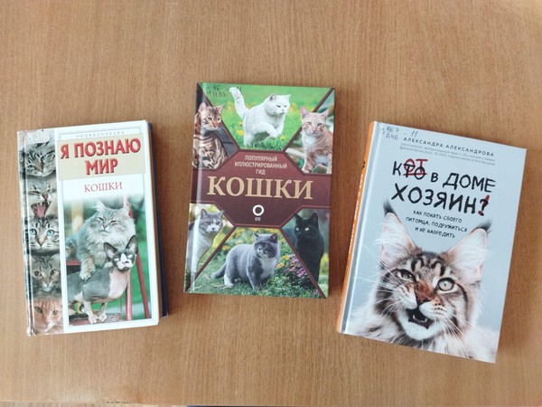 Беседа «Кошки с книжной обложки»