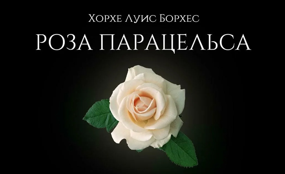 Роза Парацельса