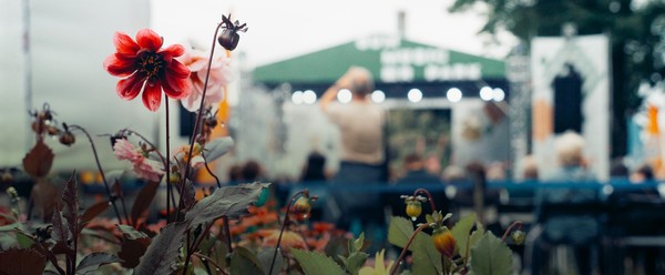 Summer Music Park. Singolo Orchestra. Голливуд в Ботаническом