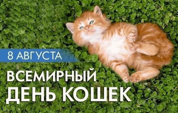 Интересный час «Всемирный день кошек»