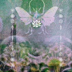 Phagamast. Isentie