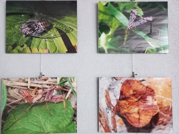 Открытие фотовыставки Егора Косина (Ефимович И.А.) «Приглядись: вокруг нас Малый мир!»