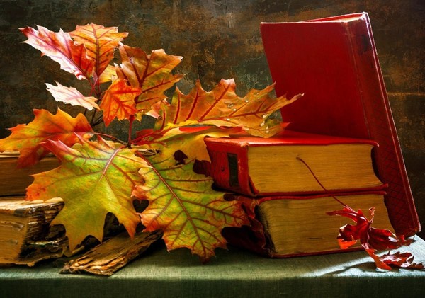 «Книжный компас в мире знаний»
