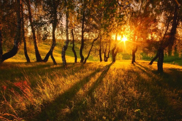 «Осенний вернисаж»