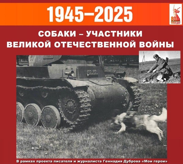 Собаки – участники Великой Отечественной войны