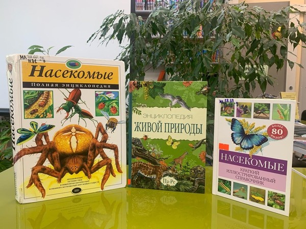 Познавательно-игровая программа «Пчелы и мед: секреты природы»