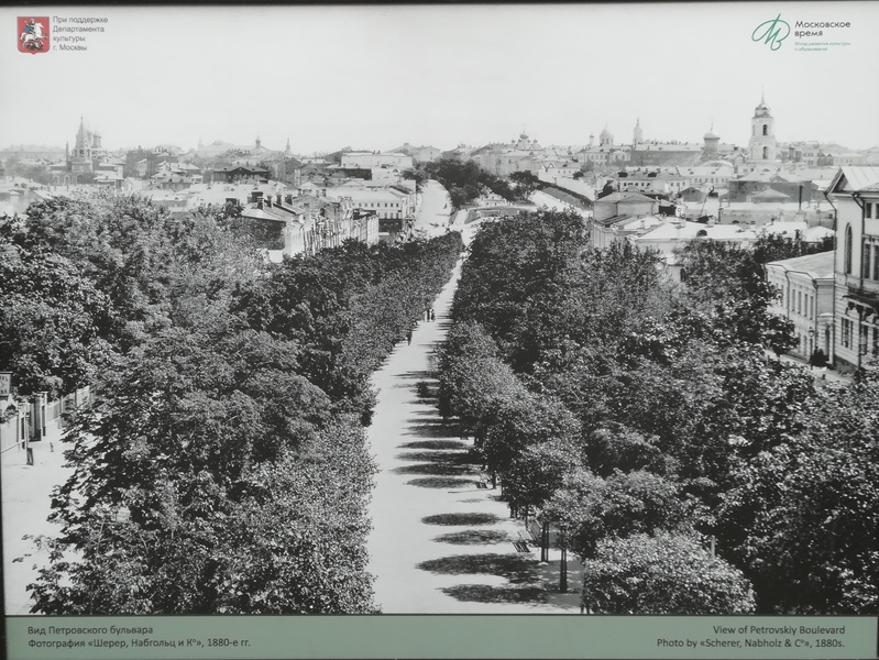 Анна Торопченкова