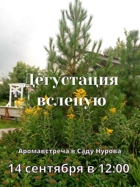 Аромавстреча «Дегустация вслепую»