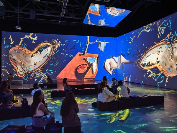 Ван Гог. Письма к Тео. Сальвадор Дали. Король сюрреализма. Фрида. Viva la vida