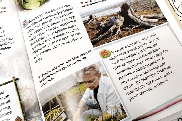 Всемирная акция «Мы чистим мир»