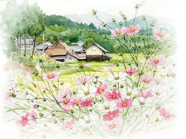 Летние мотивы