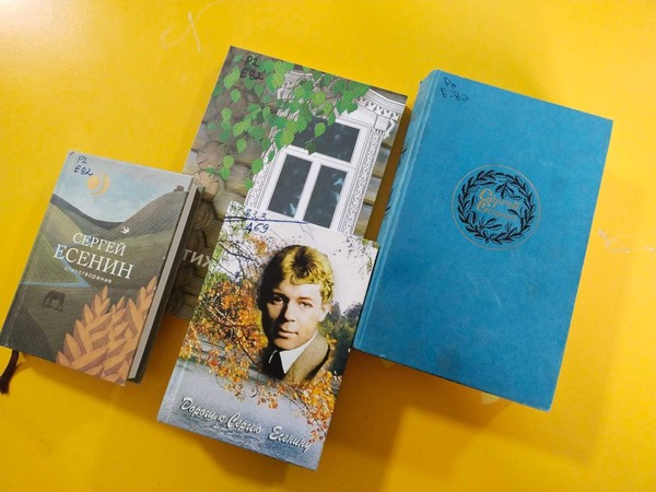 Всероссийская акция «Есенинский диктант»