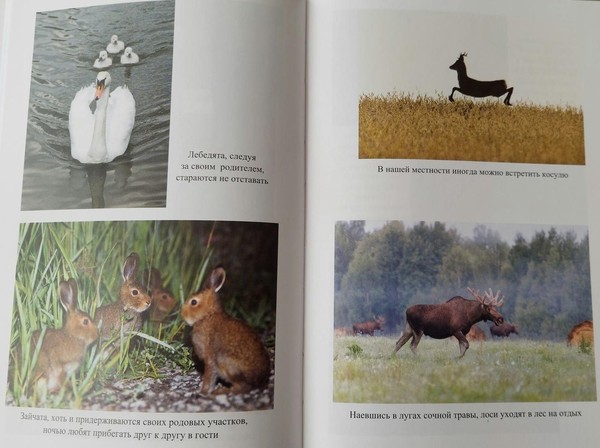 Презентация книги фотографа-натуралиста Александра Левашова «Дорога, идущая через лес»
