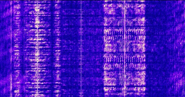 Выставка «Радио дрейф»