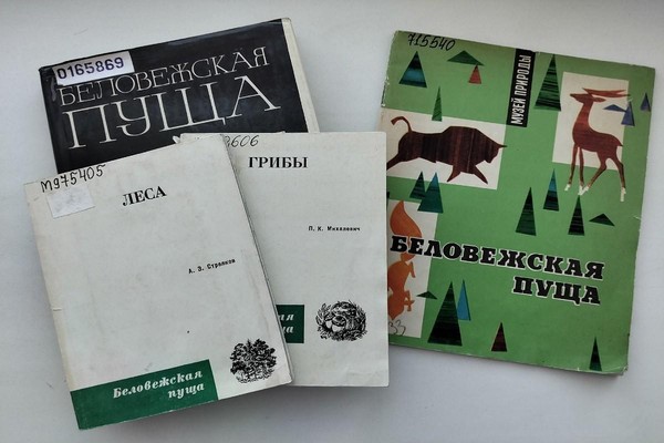 Тематическая встреча «Сказки Полесья»