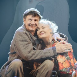 Любовь и голуби