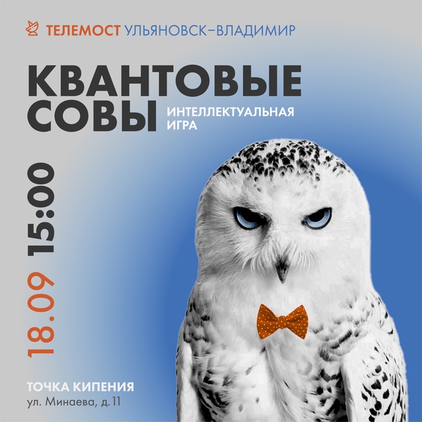Интеллектуальная игра «Квантовые совы»