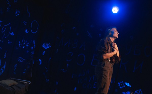 Глаза голубой собаки