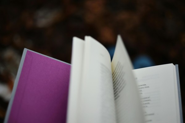Презентация книги Елены Шиловой