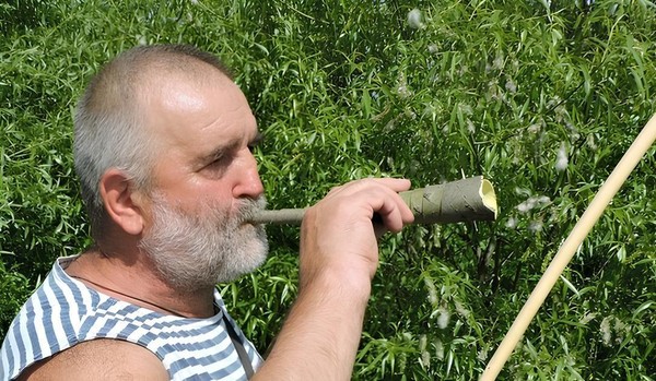 Объект электронного реестра «Технология изготовления пастушьего однодневного рожка в Воловском районе»