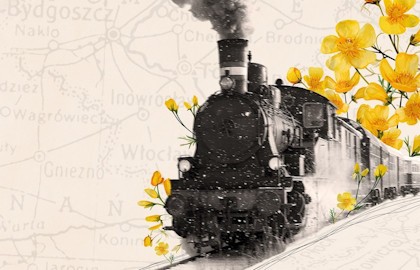 Поезд жизни