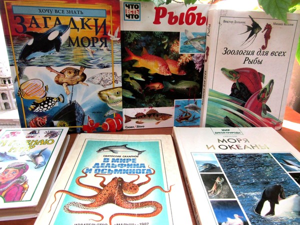 Экологический час с викториной «Открываем тайны моря»