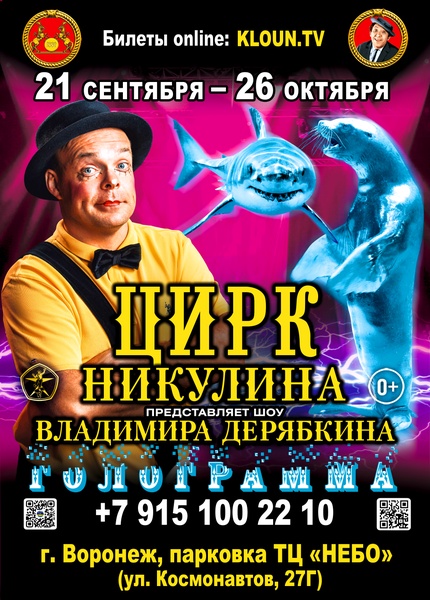 Цирк Никулина представляет шоу Владимира Дерябкина "Голограмма"