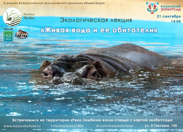 Экологическая лекция «Живая вода и ее обитатели»