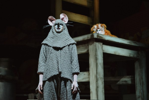 Марина Соколова