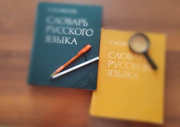 Информационный час «Сергей Иванович Ожегов – человек и словарь»