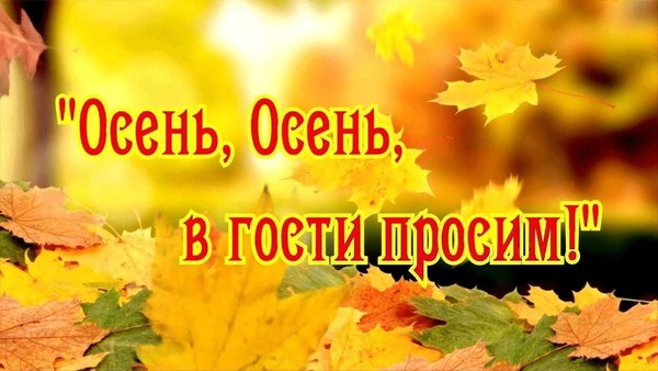 «Көз, көз әйт әле...»
