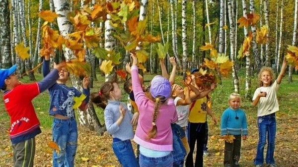 Познавательная программа «В лес загадками»