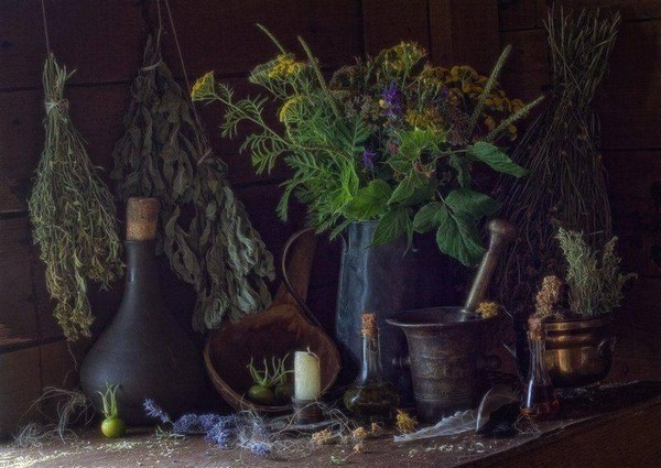 Лекция «Травы в русской культуре: история и мифы»
