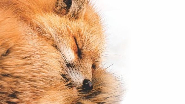 Фотовыставка «Первозданная Россия»