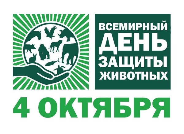 Выставка «Твои соседи на планете»