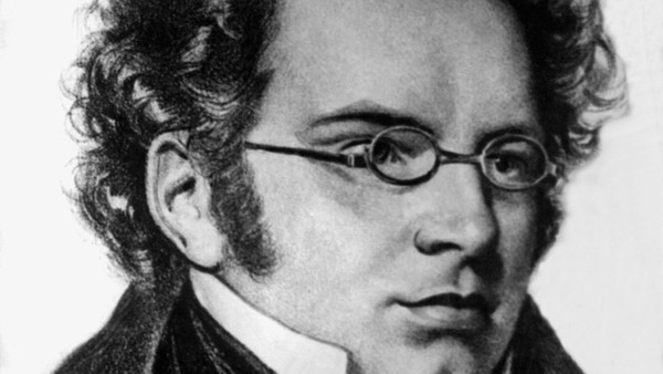 Лекция, посвященная жизни и творчеству Ф. Шуберта
