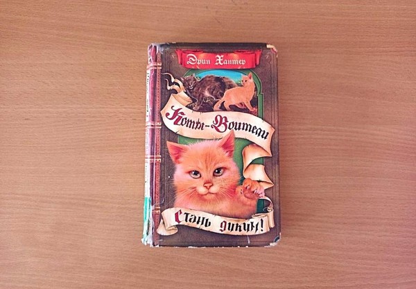 Беседа «В дремучем лесу»