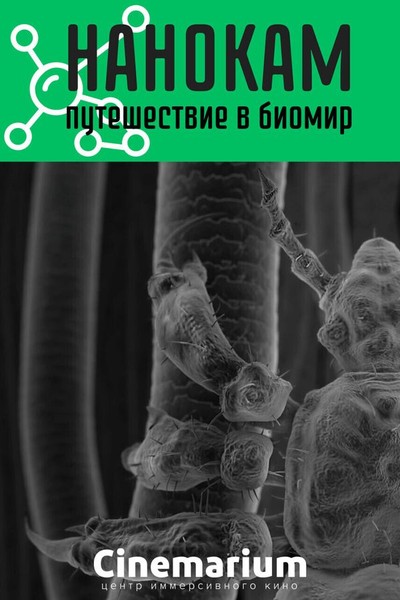 Премьера: Нанокам. Путешествие в биомир