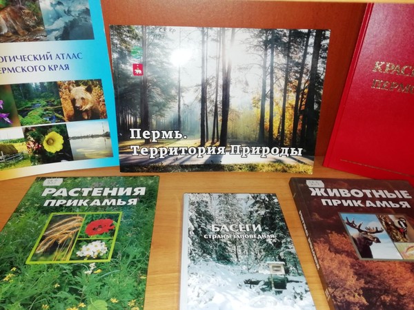 Игра «Тропа к роднику»