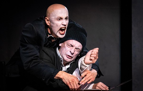 Спектакль «Сын»