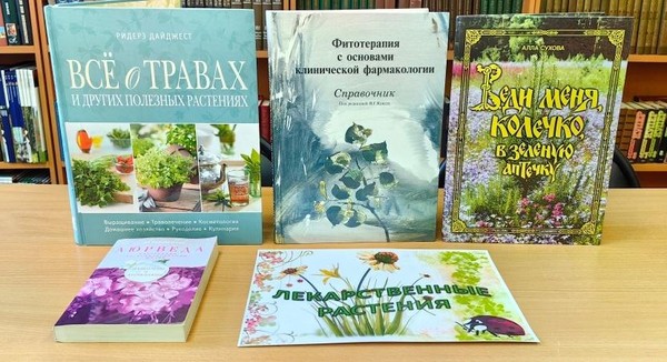 Беседа «Экология здоровья»