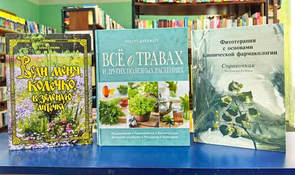 Беседа с фитологом Любовью Антоновой «Экология здоровья»