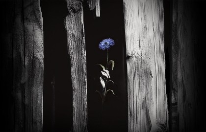 Олег Лопухов