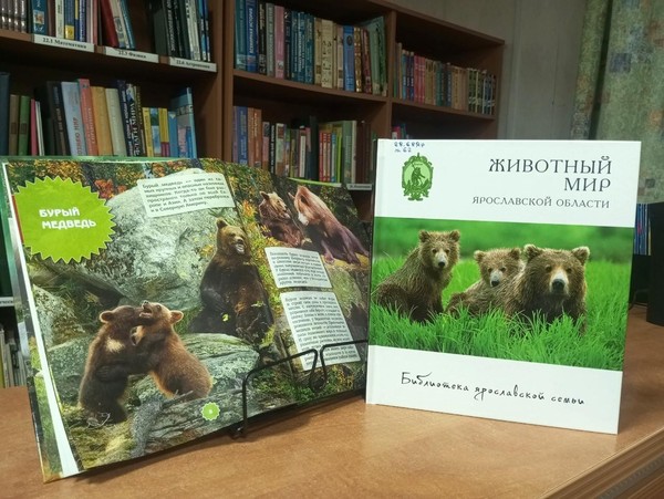 Программа «Косолапое братство»