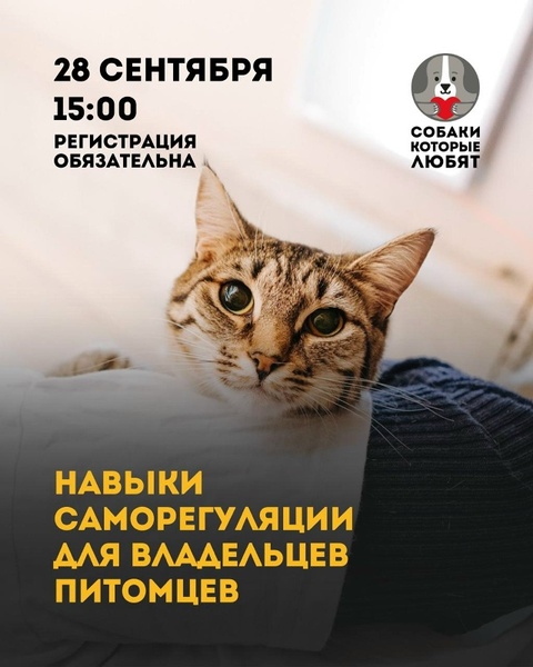 Навыки саморегуляции для владельцев питомцев