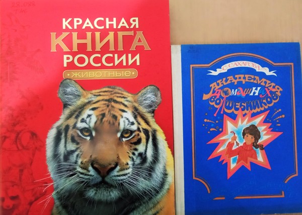 Мастер-класс по аппликации«Тигренок»