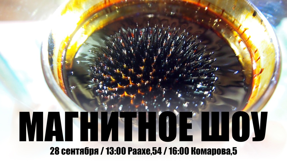 Магнитное шоу
