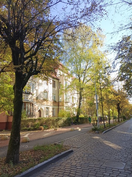 Экспресс-экскурсия из центра города в Амалиенау