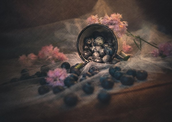 Выставка фотографий «Этюды в теплых тонах»